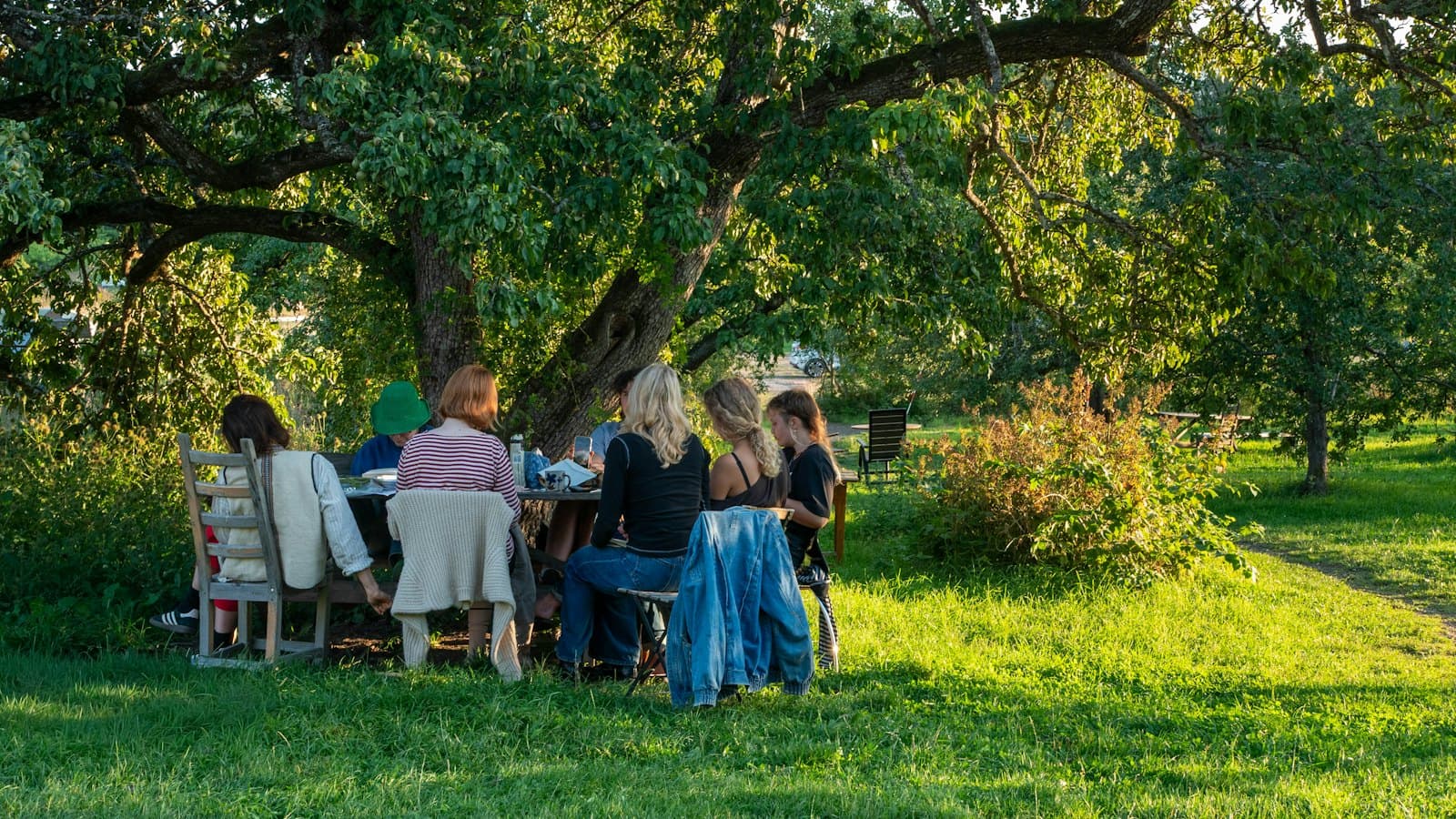 Groupe réuni autour d'une table sous un grand arbre